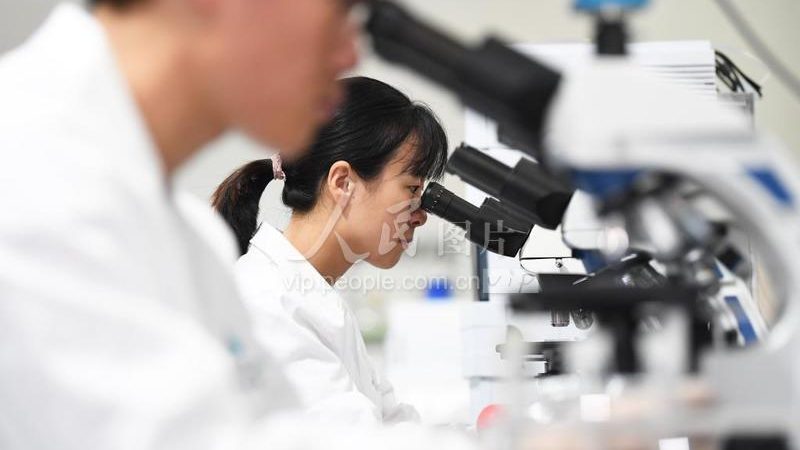 国产分子生物学试剂哪个牌子好