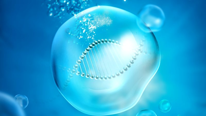 小分子CDMO：揭秘药物研发背后的“隐形功臣