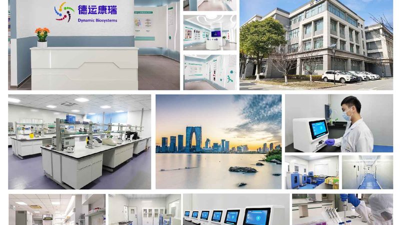 cro优化工具对比评测