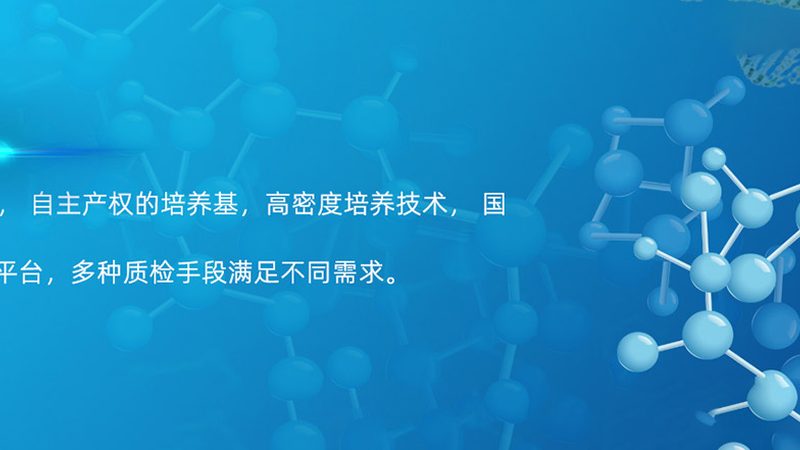 快速引物合成：揭秘高效PCR实验的秘密武器**