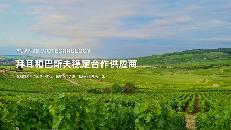CDMO质量标准哪家好