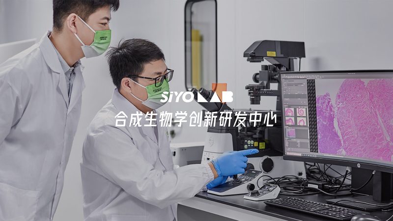 CDMO企业排名背后的考量因素**