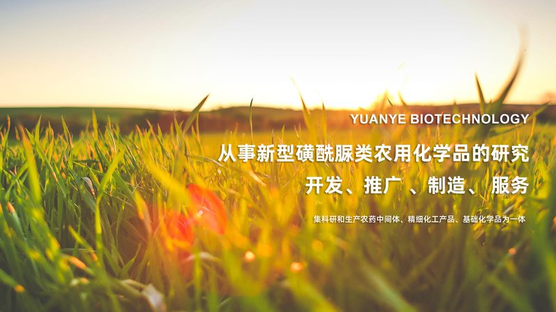 精准掌控，步步为营：可调式移液器校准方法全解析**