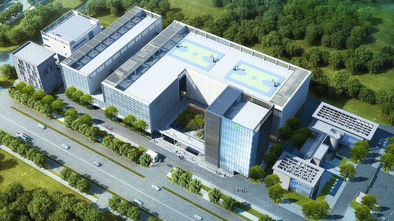 荧光标记引物序列设计：精准探针的构建之道**