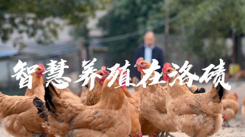 新生儿遗传病基因检测：守护生命起跑线的关键技术**